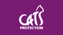 Cats Protection-1